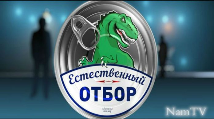 Естественный отбор Естественный отбор