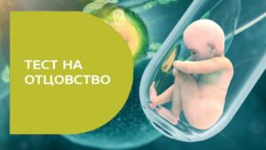 Тест на отцовство